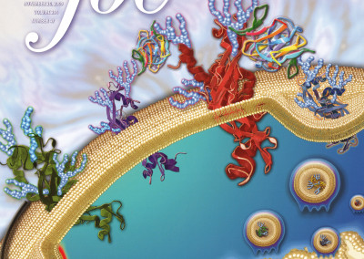 Journal of Biological Chemistry – Cover Publication